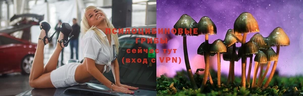 mdpv Верхний Тагил